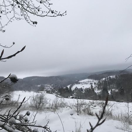 Bergchalet La Roubine Willingen Neerdar Extérieur photo