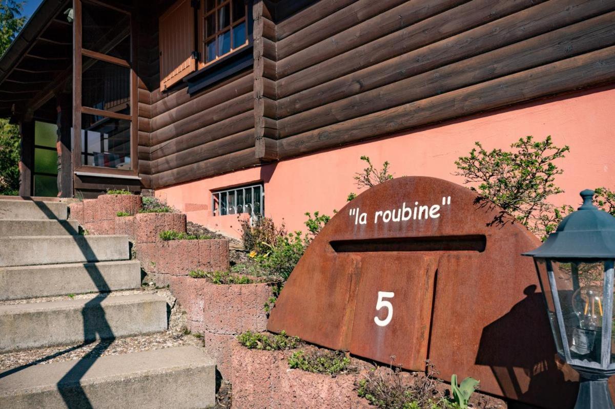 Bergchalet La Roubine Willingen Neerdar Extérieur photo