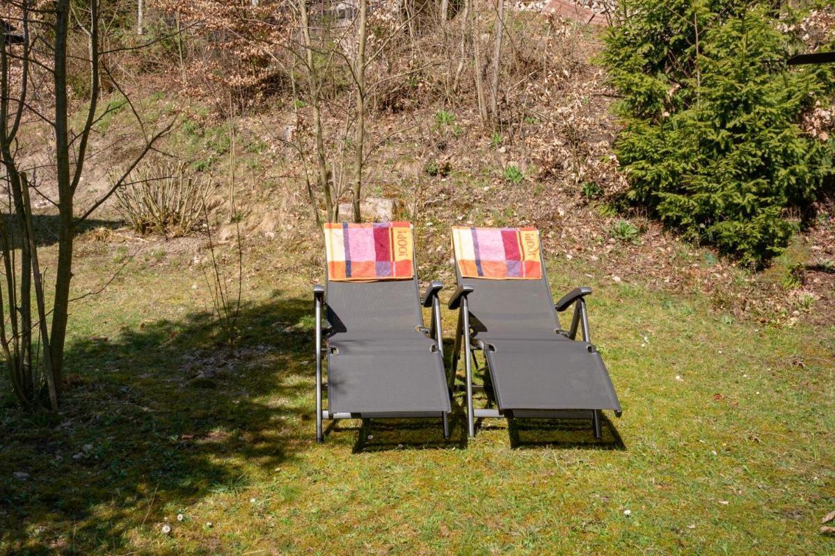 Bergchalet La Roubine Willingen Neerdar Extérieur photo